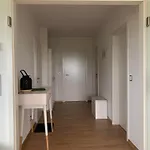 Ferienapartment An Der Milseburg * Hofbieber